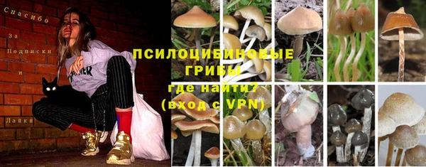 марки nbome Балабаново